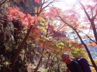 �g�t�Ƃj�R��